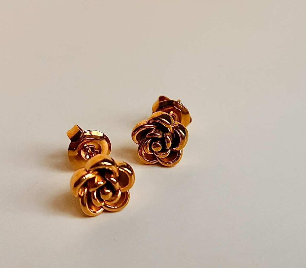 Romanticize your Life Earrings